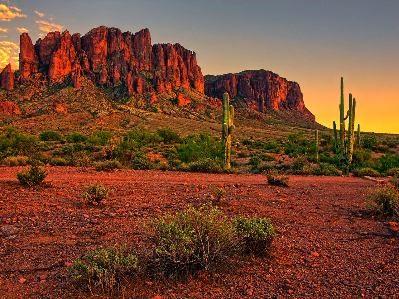 Sonoran Desert landscape with red rock mountains and saguaro cacti
